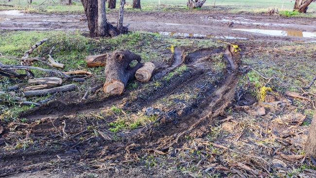 The car left the road, crashed into a tree and burst into flames. Picture: Brenton Edwards