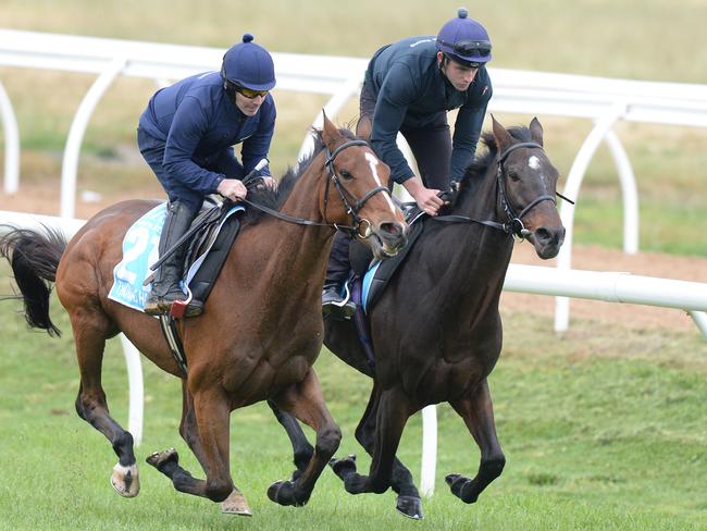 No coming: Thomas Hobson (left) and Max Dynamite gallop at the Werribee quarantine centre last spring. Picture: AAP