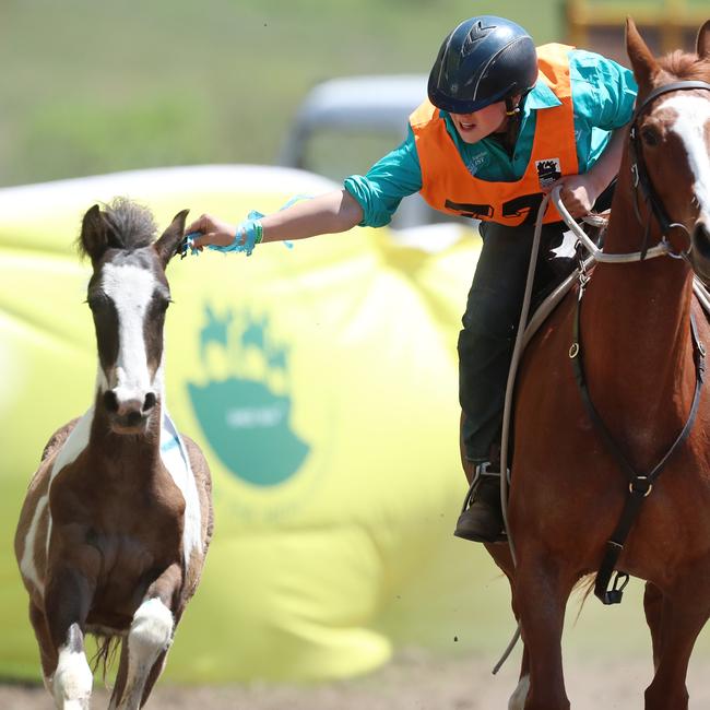 Ruby McCourt attempts to “decorate” her horse in the women’s challenge final event at the MCAV get-together at Omeo Valley. Picture: Yuri Kouzmin