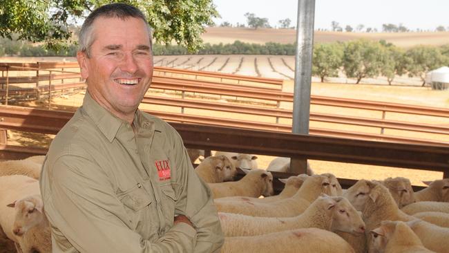 Watts up: Rodney Watt of Greenethorpe in NSW is sold on the benefits of performance recording within his sheep flock.