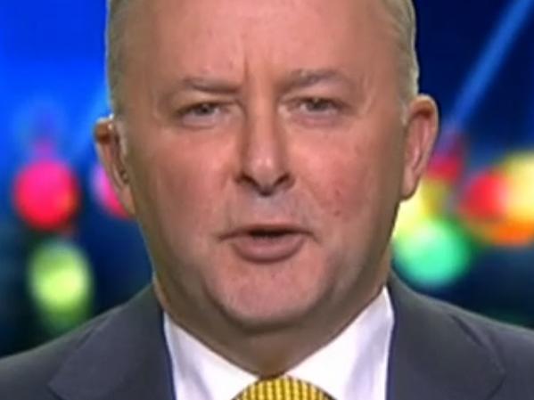 Anthony Albanese on The Project