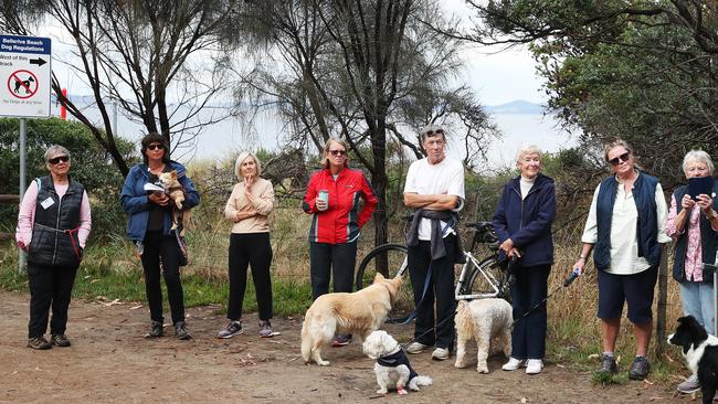 Unhappy dog owners at Bellerive Beach speak out against moves to have fewer off-leash areas in Clarence. Picture: NIKKI DAVIS-JONES