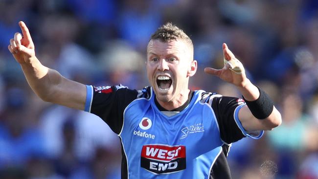 Peter Siddle took 3-17 in the BBL Final.