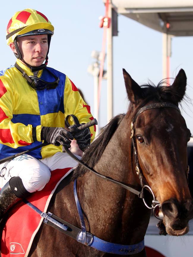 Lightning Handicap winner Desert Cowboy with jockey Quayde Krogh. PICTURE: STEWART MCLEAN.