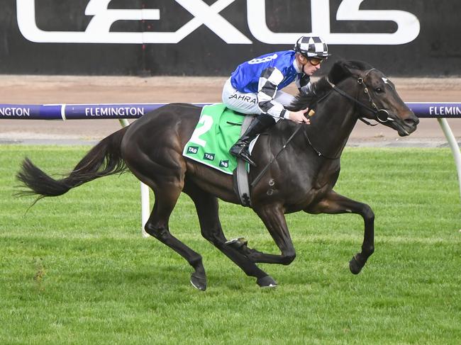 Gold Trip (FR) ridden by Mark Zahra wins the TAB Turnbull Stakes at Flemington Racecourse on October 07, 2023 in Flemington, Australia. (Photo by Reg Ryan/Racing Photos via Getty Images)