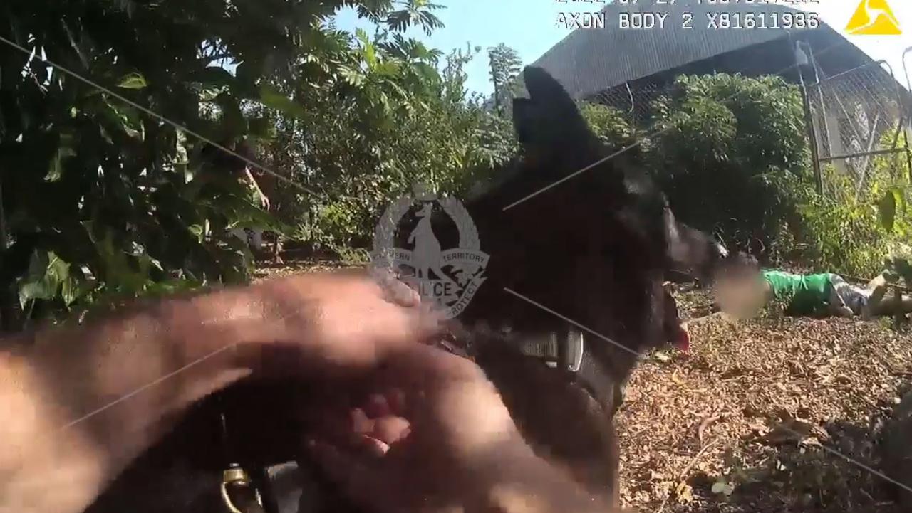 NT Police released body cam footage of a dog squad arrest of a 23-year-old man in Alawa on Wednesday July 27.