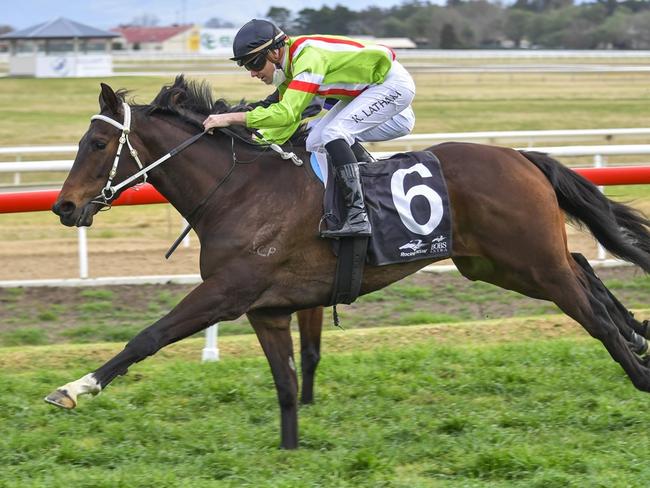 Hawkesbury, 10 August 2021, Winner - Just A Brother. Picture: Bradley Photos