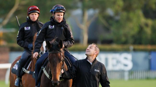 Kovalica is looking for his first win in a year in the Doomben Cup. Picture: Max Mason-Hubers.