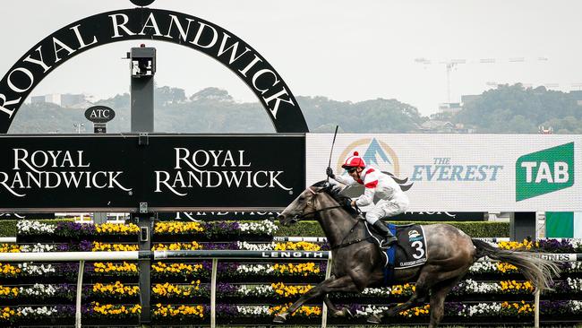 Last year’s Everest winner Classique Legend. Picture: Hanna Lassen/Getty Images.