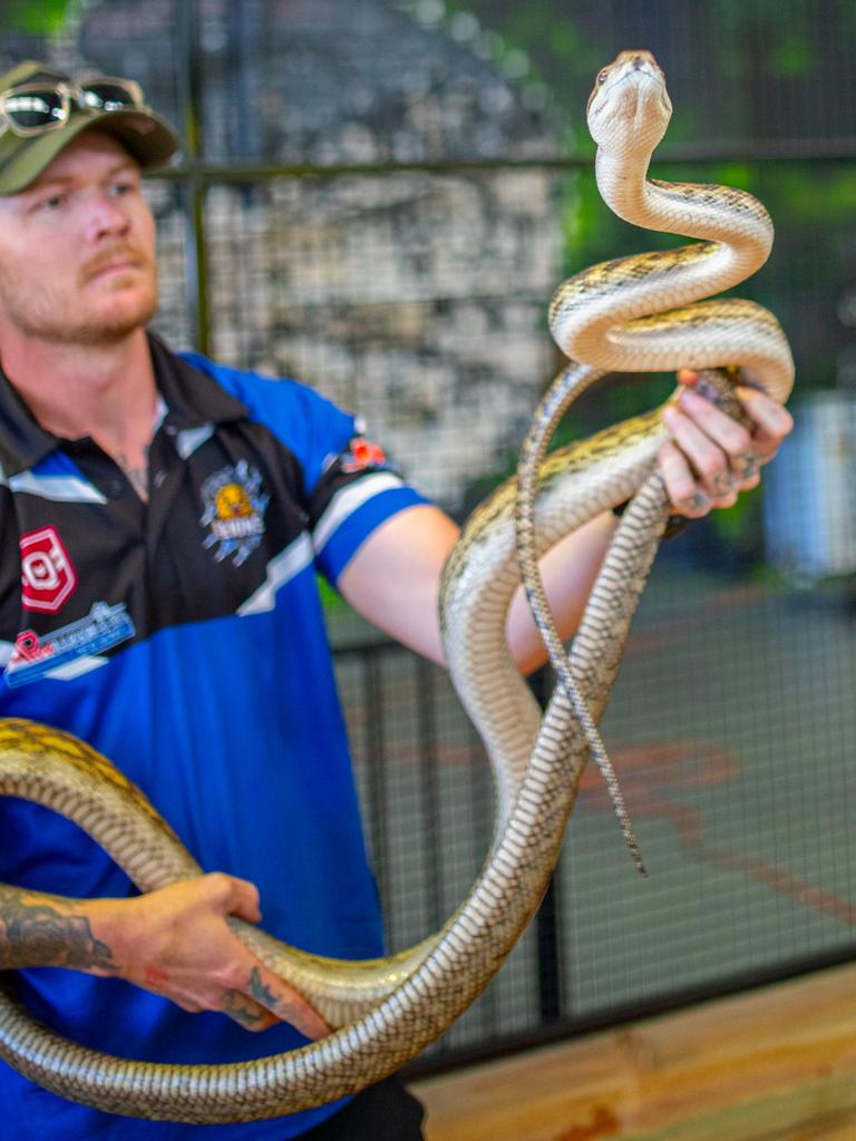 Animal Kingdom Australia reptiles and pet supplies opens in