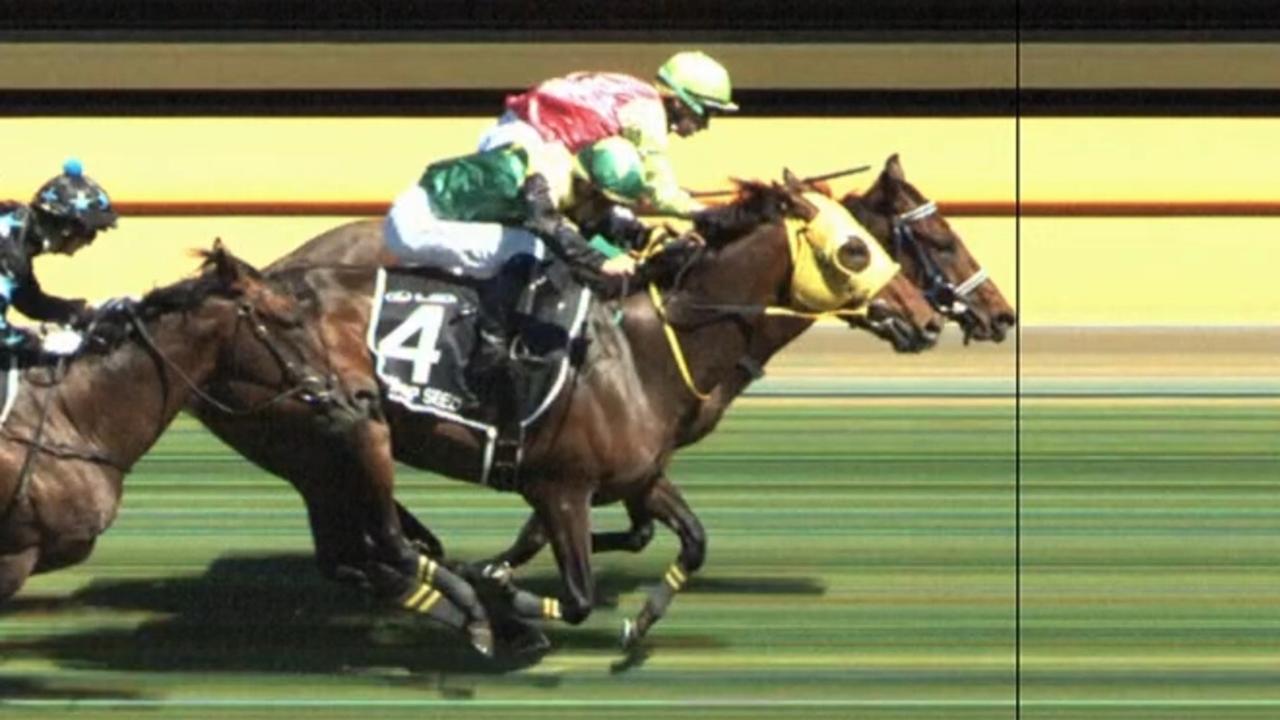 2024 Melbourne Cup photo finish grabs. Picture: Racing.com