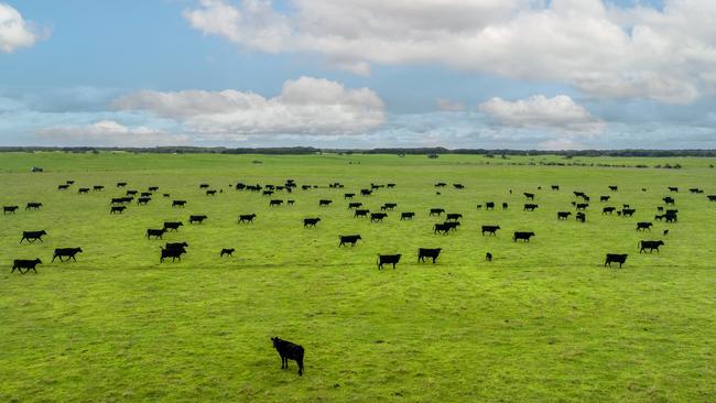 Woodrise near Robe in South Australia's lower south east has hit the market for the first time in 60 years.