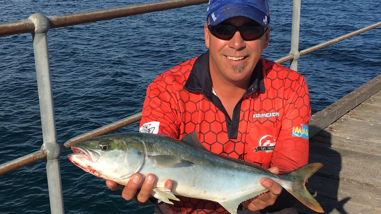 Trophy-size yellowtail kingfish caught six times! - Fishing World Australia