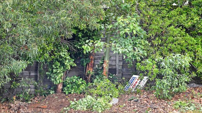 Five teenagers were hospitalised after a car crashed into a tree. Picture: John Gass