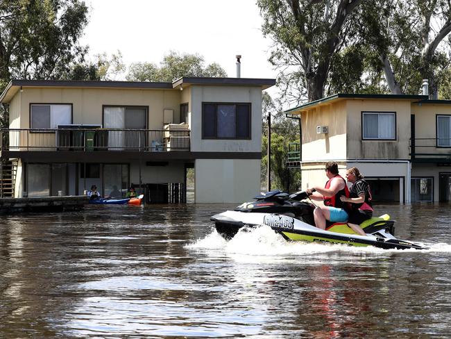 High water levels have flooded shacks on the River Murray at Morgan. <b>Picture: </b>Calum Robertson