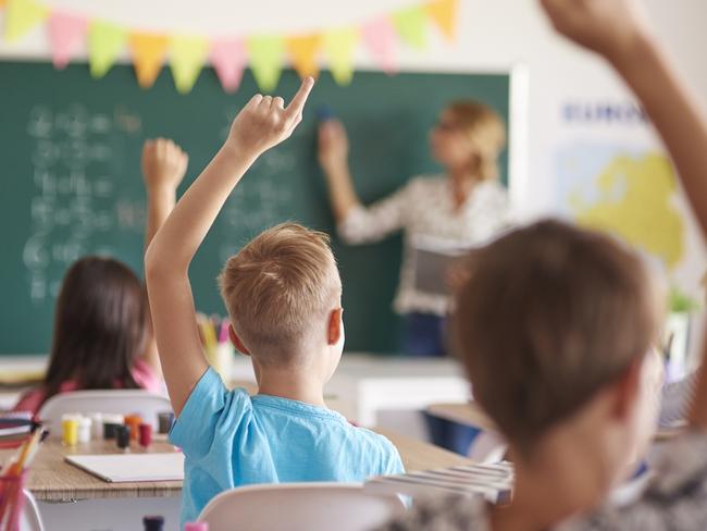 Primary school students are setting the standard. Picture: Supplied