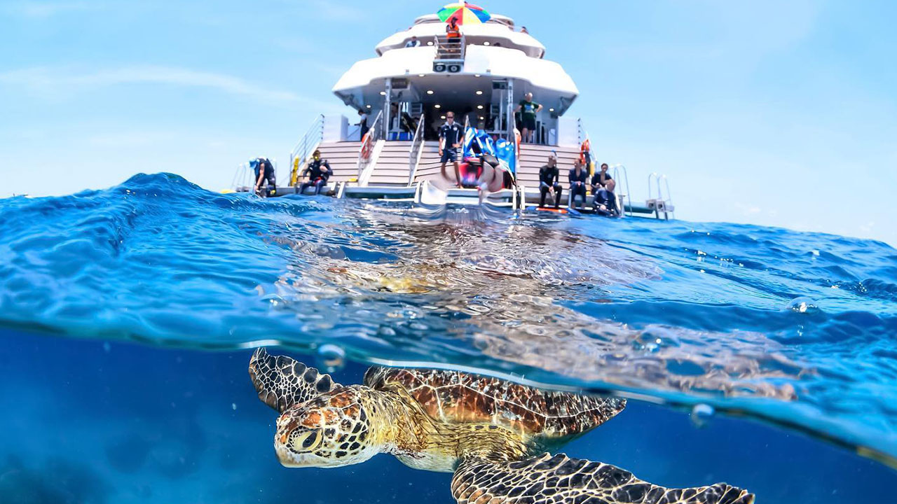 I visited Tropical North Queensland immediately after the floods and ...