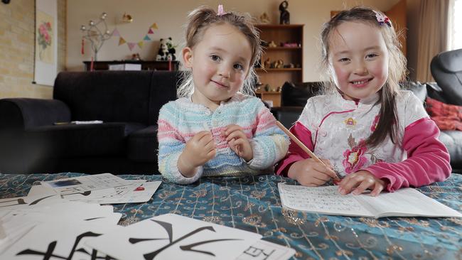 Grace, 2, and Sophia Higgins, 5, learning their Chinese characters. Picture: RICHARD JUPE