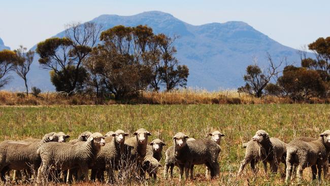 The ownership of Australian farms has been revealed. Picture: EMMA FIELD