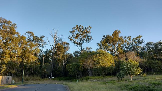 The 323-lot housing estate will be built over 27 hectares. Photo: Tim Stieler