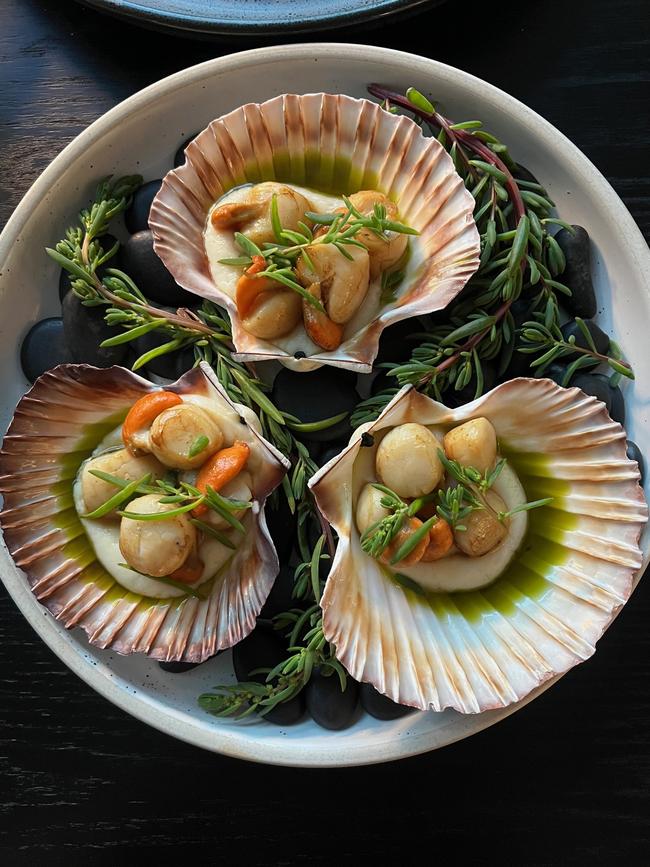 Bass Strait scallops, served on a bed of cauliflower puree, which is dotted with native sea blite from the Leatherwood restaurant in DoubleTree by Hilton Hobart. Picture: Supplied