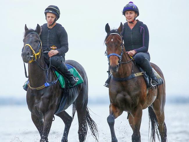 The Gao Waterhouse pair Excess Knowledge and The Offer at Altona Beach the day before the Melbourne Cup. Picture: Colleen Petch