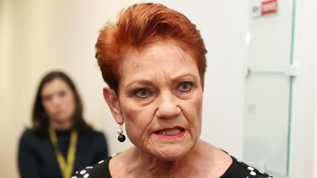 Senator Pauline Hanson. Picture: NCA NewsWire / Gary Ramage