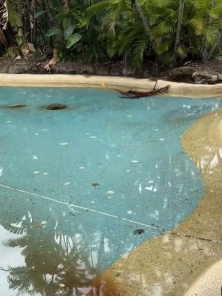 The lagoon in the hotel room is seen to be grimy. Picture: Samantha Moitzi