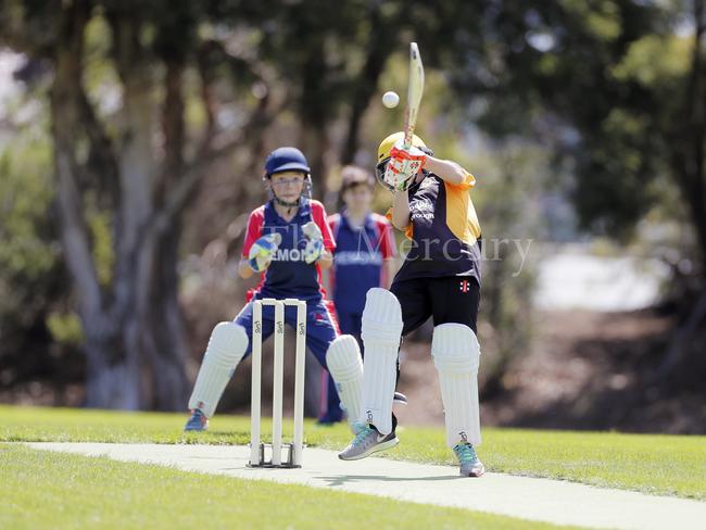 Junior Cricket Gallery 