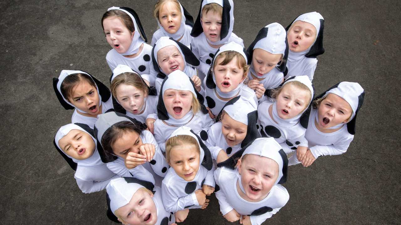 Another Adam Hourigan shot, showing young performers getting ready for Grafton Eisteddfod School&#39;s Day. Picture: Adam Hourigan