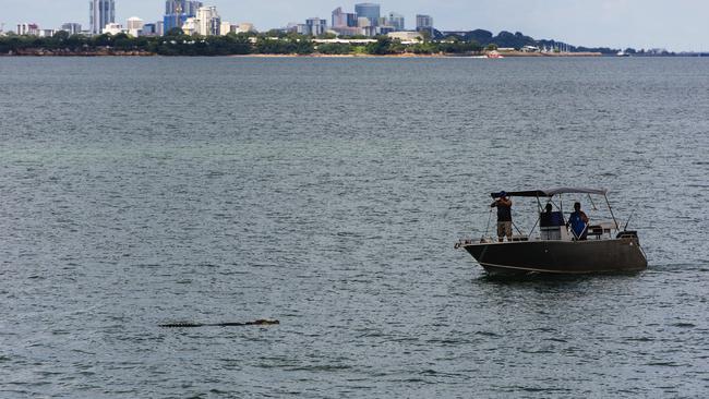 ‘George’ the croc was very interested in three blokes in a boat. Picture: Michael Franchi