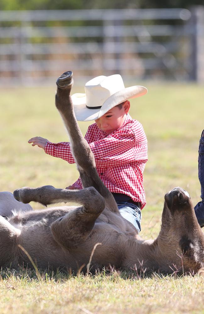 Soloman loves to horse around. Picture: Annette Dew