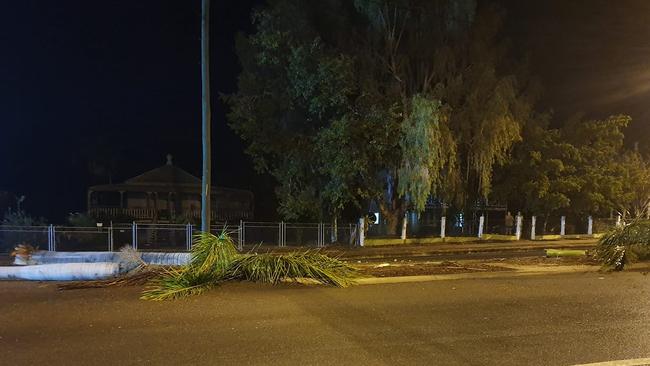 Palm trees on Gill Street in Charters Towers lay on the ground after a being crashed into after the driver of a LandCruiser allegedly evaded police on Sunday, October 25.