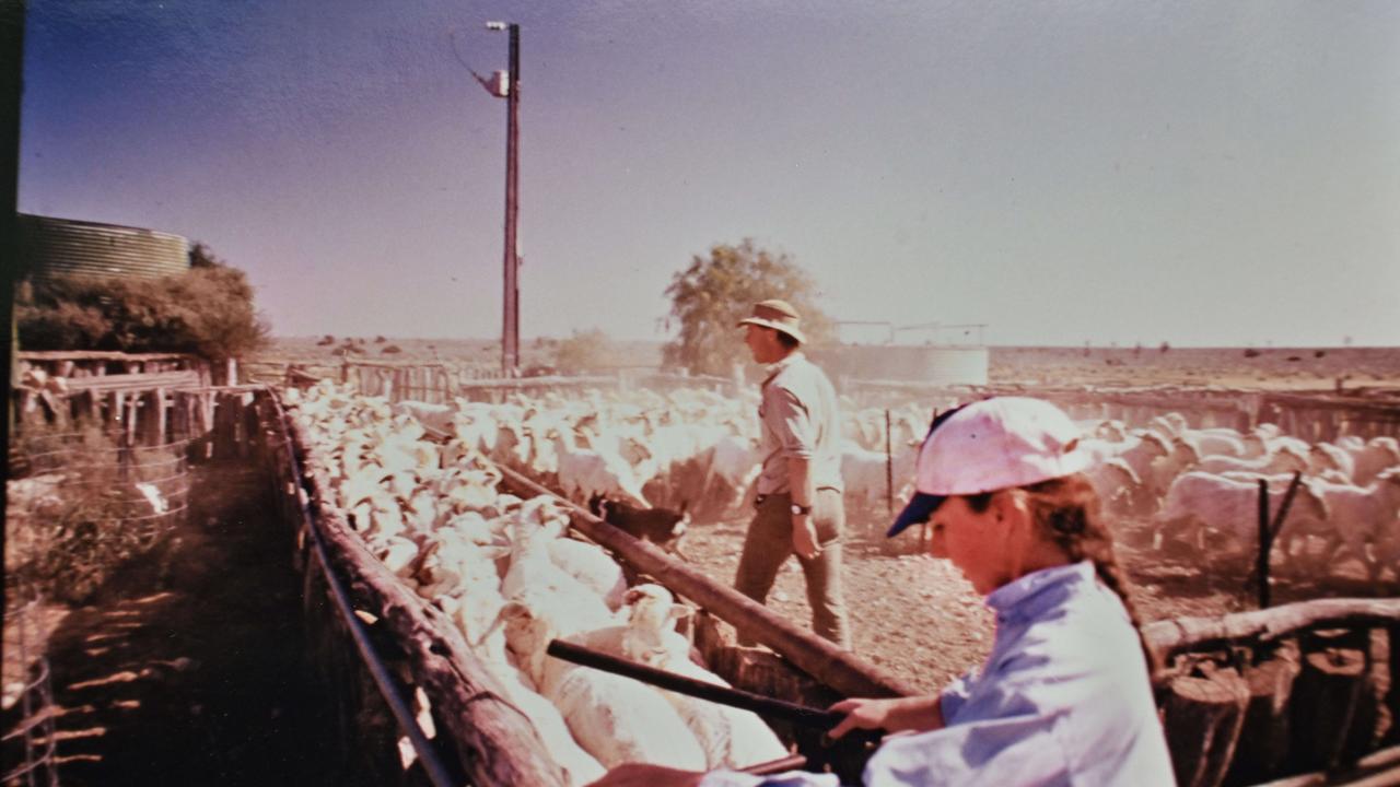 Sonya Irwin working sheep with her husband James. Picture: Supplied.