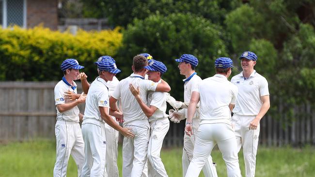 Action from the match between Brisbane State High School and Nudgee College. Brisbane celebrate a wicket. Picture: Tertius Pickard