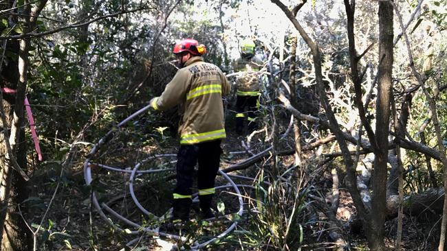 Bushfires around Dee Why Lagoon began to rise in size and frequency. Picture: Manly Daily