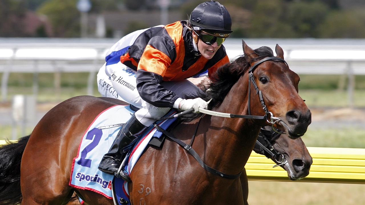 Adelaide: Comprehensive preview of every race for Morphettville Parks ...