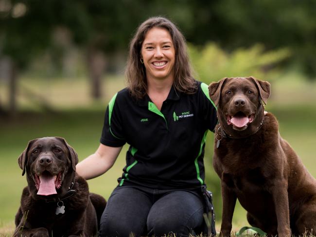 Listed: Brisbane’s top dog trainers, their tips, pet peeves, what they cost