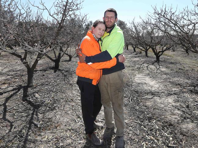 Anthony and Evelyn Giacosa at their Applethorpe apple farm. Picture: Annette Dew