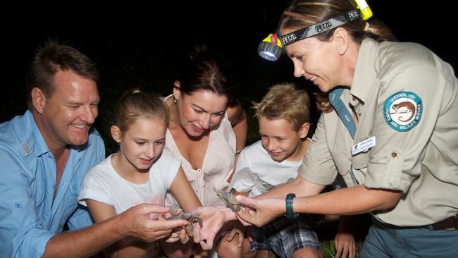 Turtle time! First tickets of season on sale as $1M carpark pledged