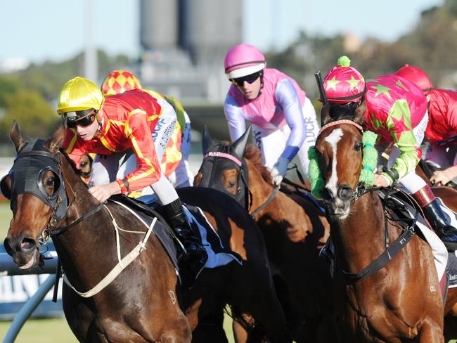 Better Not Blue (right) just fails to reel in Ninth Legion (orange silks) in the Civic Stakes. Picture: Simon Bullard