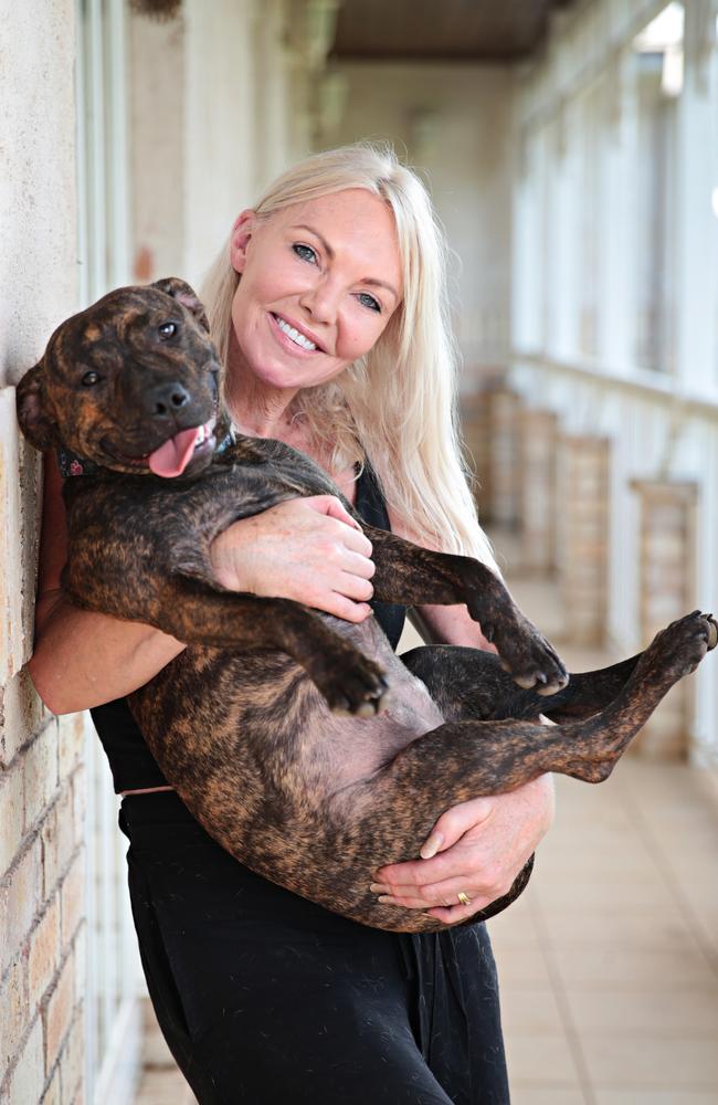 Debbie Moodie has developed a network around the country pounds to save dogs so they can be rehomed. Picture: Adam Yip