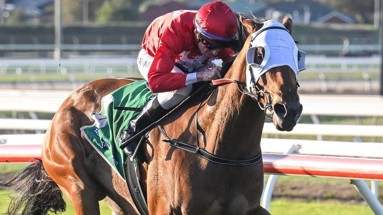 Gronkowski will shoot for a Warrnambool May Carnival win for the second year in a row on Tuesday. Picture: Racing Photos