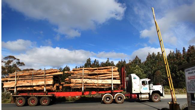 Tasmania's tree plantations and forestry log harvesting, a fully laden log truck enters the Hampshire Woodchip Mill in Tasmania's North West