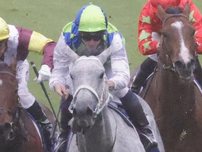 SYDNEY, AUSTRALIA - NOVEMBER 27: James McDonald on Polly Grey wins race 4 the Atc Cup during Sydney Racing at Rosehill Gardens on November 27, 2021 in Sydney, Australia. (Photo by Jenny Evans/Getty Images)