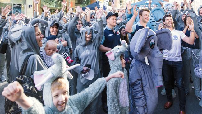 NSW Waratahs and Wallabies players joined the crowd at Martin Place. Picture: Supplied