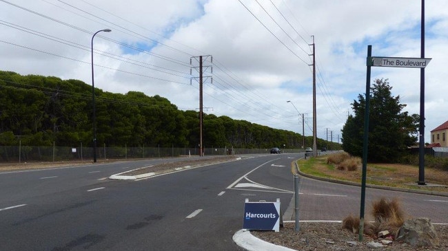 The entrance to the Flagstaff Pines Estate on Black Rd with the pine plantations to the side. Picture: Michael Butt.