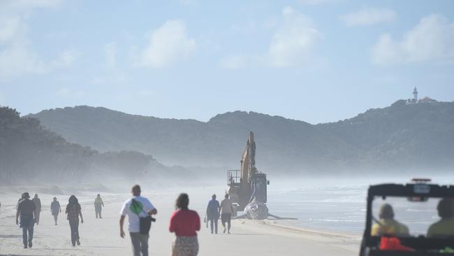 National Parks and Wildlife help to remove an 8.8m juvenile humpback whale from Tallow Beach near Tallow Creek in Byron Bay after it washed ashore dead.