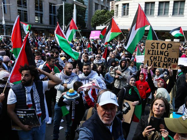 People gather in Sydney to protest, demanding Israel ends its ethnic cleansing of the Palestinian people. Picture: NCA NewsWire / Gaye Gerard