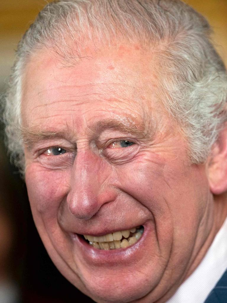 Prince Charles, the Prince of Wales, is first in line to take over duties. (Photo by Kirsty O'Connor / POOL / AFP)